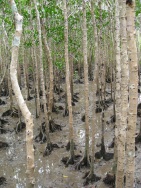 blog_australien_20100909_124659 blog_australien_20100909_124659