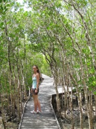 blog_australien_20100909_133713 blog_australien_20100909_133713