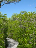 blog_australien_20100909_135151 blog_australien_20100909_135151