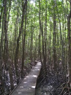 blog_australien_20100909_141345 blog_australien_20100909_141345