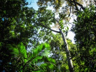 blog_australien_20100911_130402 blog_australien_20100911_130402