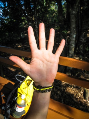 blog_australien_20100911_160725 blog_australien_20100911_160725