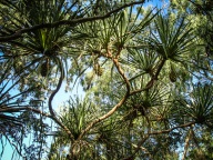 blog_australien_20100911_163435 blog_australien_20100911_163435