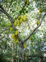 blog_australien_20100911_163811 blog_australien_20100911_163811