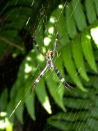 blog_australien_20100925_132326 blog_australien_20100925_132326