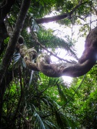 blog_australien_20100926_153842 blog_australien_20100926_153842