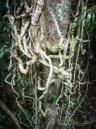 blog_australien_20100926_153940 blog_australien_20100926_153940