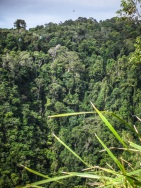 blog_australien_20100926_155309 blog_australien_20100926_155309