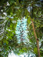 blog_australien_20100930_124324 blog_australien_20100930_124324