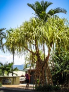 blog_australien_20100930_124524 blog_australien_20100930_124524