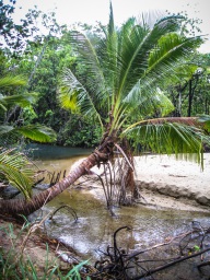 blog_australien_20101001_150432 blog_australien_20101001_150432