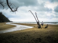 blog_australien_20101001_150542 blog_australien_20101001_150542