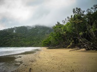 blog_australien_20101001_150702 blog_australien_20101001_150702