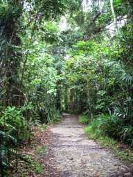 blog_australien_20101001_162631 blog_australien_20101001_162631