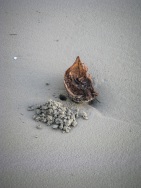 blog_australien_20101002_063054 blog_australien_20101002_063054