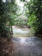 blog_australien_20101002_072219 blog_australien_20101002_072219