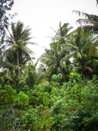 blog_australien_20101002_074553 blog_australien_20101002_074553