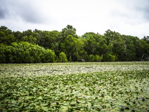 blog_australien_20101002_112351 blog_australien_20101002_112351