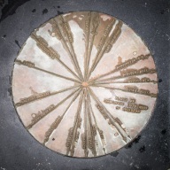 blog_australien_20101002_141444 blog_australien_20101002_141444