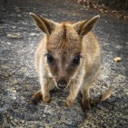 blog_australien_20101011_112004 blog_australien_20101011_112004