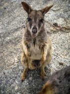 blog_australien_20101011_112821 blog_australien_20101011_112821