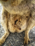 blog_australien_20101011_112920 blog_australien_20101011_112920