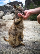blog_australien_20101011_113112 blog_australien_20101011_113112