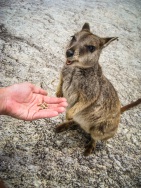 blog_australien_20101011_121403 blog_australien_20101011_121403