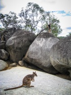 blog_australien_20101011_121532 blog_australien_20101011_121532