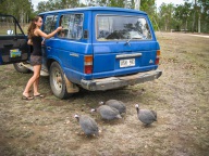 blog_australien_20101011_162126 blog_australien_20101011_162126