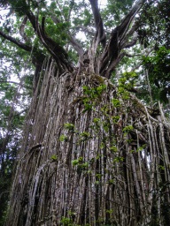 blog_australien_20101012_075520 blog_australien_20101012_075520