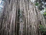 blog_australien_20101012_075600 blog_australien_20101012_075600