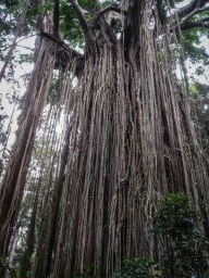 blog_australien_20101012_075724 blog_australien_20101012_075724