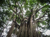 blog_australien_20101012_075744 blog_australien_20101012_075744