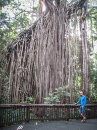 blog_australien_20101012_080055 blog_australien_20101012_080055