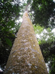 blog_australien_20101012_100652 blog_australien_20101012_100652