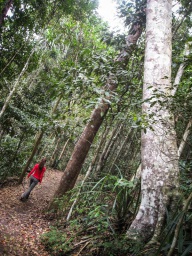 blog_australien_20101012_101258 blog_australien_20101012_101258