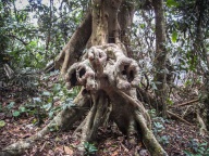 blog_australien_20101012_102404 blog_australien_20101012_102404