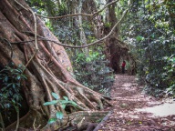 blog_australien_20101012_103544 blog_australien_20101012_103544