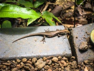 blog_australien_20101012_104426 blog_australien_20101012_104426