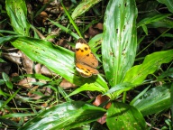 blog_australien_20101012_105335 blog_australien_20101012_105335