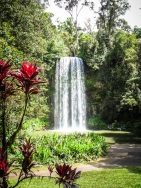 blog_australien_20101012_134453 blog_australien_20101012_134453