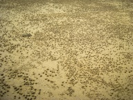 blog_australien_20101013_100854 blog_australien_20101013_100854