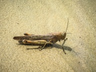 blog_australien_20101013_101645 blog_australien_20101013_101645