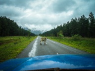 blog_australien_20101013_152643 blog_australien_20101013_152643