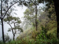 blog_australien_20101013_163801 blog_australien_20101013_163801