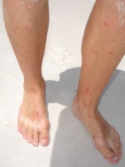 blog_australien_20101024_122537 blog_australien_20101024_122537