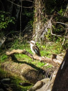 blog_australien_20101025_150643 blog_australien_20101025_150643