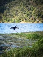 blog_australien_20101025_172901 blog_australien_20101025_172901