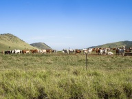 blog_australien_20101026_083436 blog_australien_20101026_083436